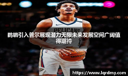qy千亿鹈鹕引入普尔展现潜力无限未来发展空间广阔值得期待